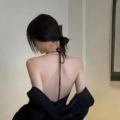 苍穹浩瀚第五季